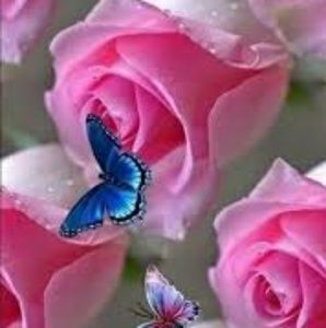 Meet your Posher, Sharmayne